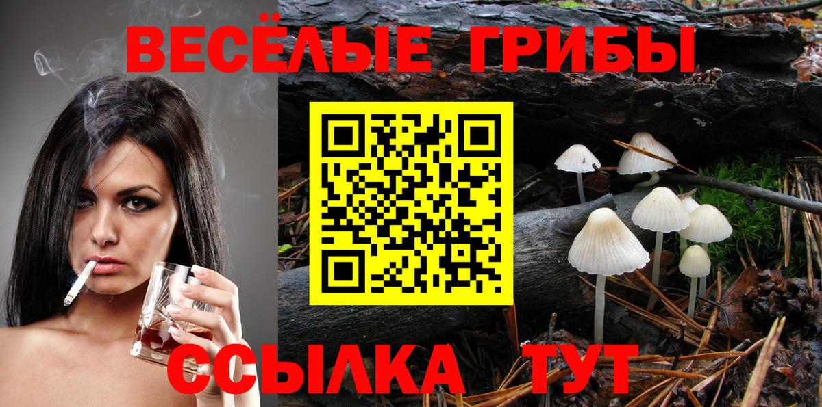 Галлюциногенные грибы Cubensis  Галлюциногенные грибы ЛСД  Калуга  Вход с VPN 