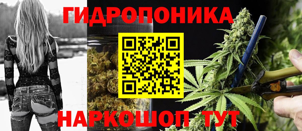 Бошки марихуана планчик  Конопля конопля  Калуга  Вход с VPN 